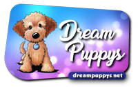 DreamPuppys Shop